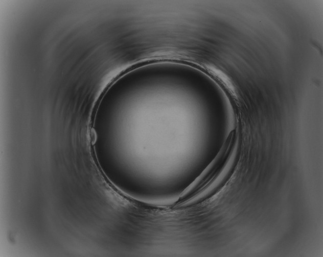 X0000093111288200709261243