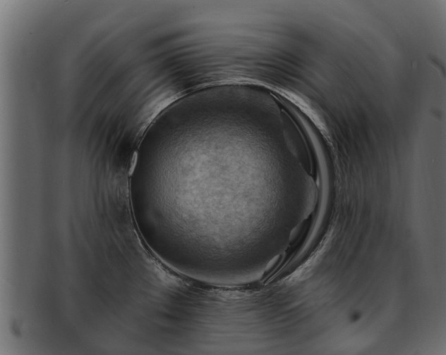 X0000093111289200709261243