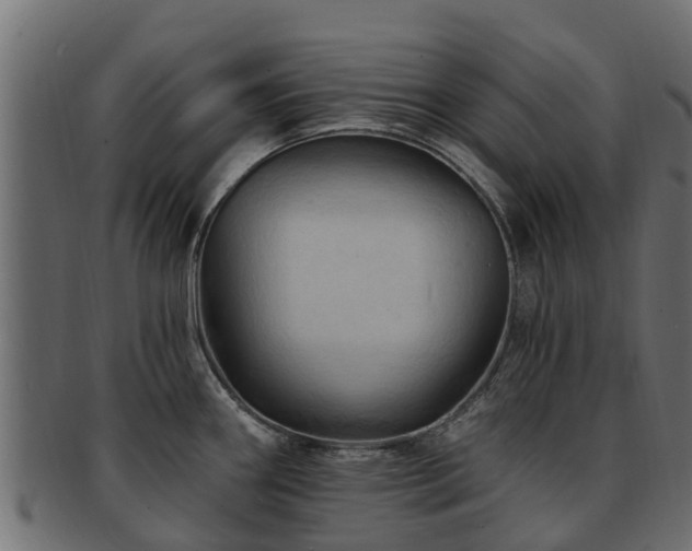X0000093111290200709261243