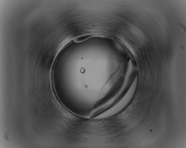 X0000093111291200709261243