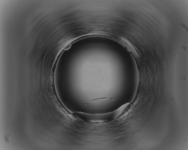 X0000093111292200709261243