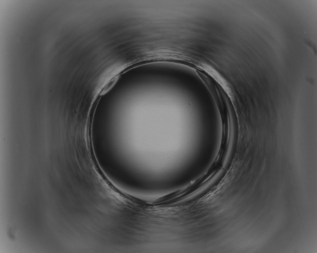 X0000093111293200709261243