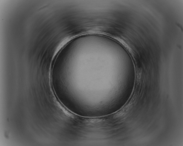 X0000093111294200709261243