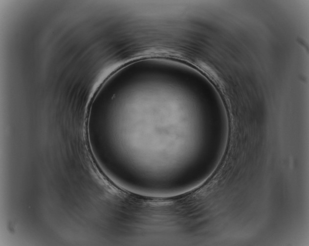 X0000093111296200709261243