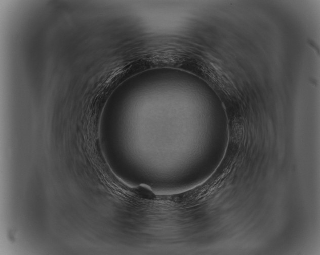 X0000093111297200709261242
