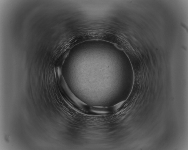 X0000093111298200709261242