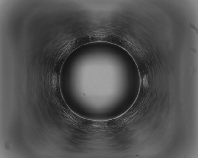 X0000093111299200709261242
