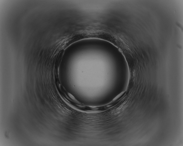 X0000093111300200709261242