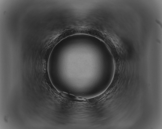 X0000093111301200709261242
