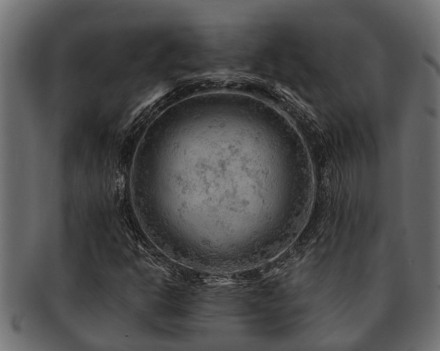 X0000093111302200709261242