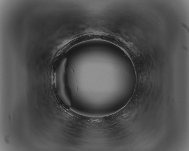 X0000093111303200709261242