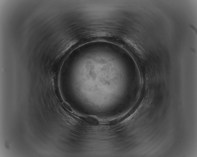 X0000093111305200709261243