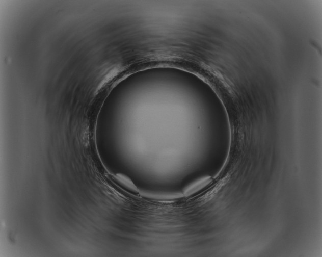 X0000093111306200709261243