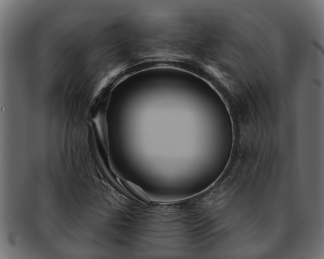 X0000093111307200709261243