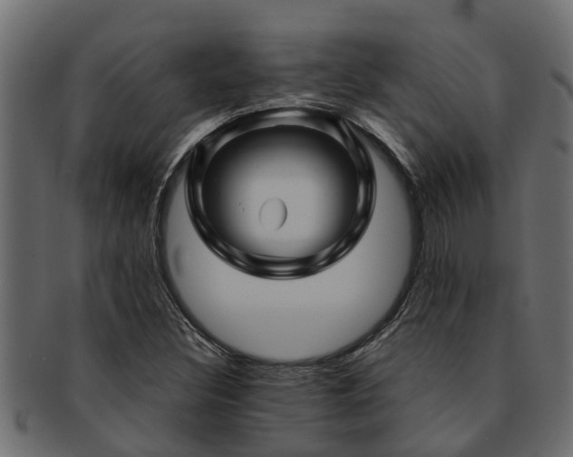 X0000093111308200709261243