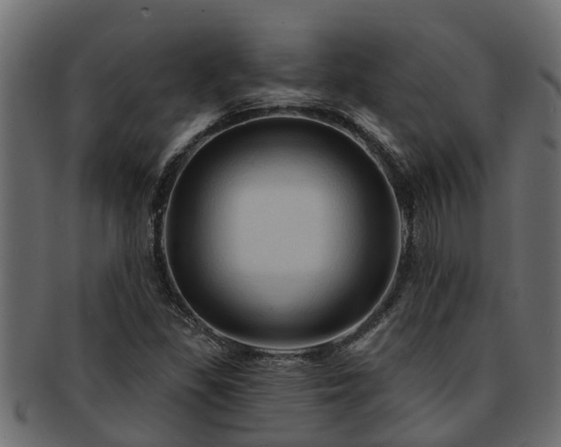 X0000093111309200709261243