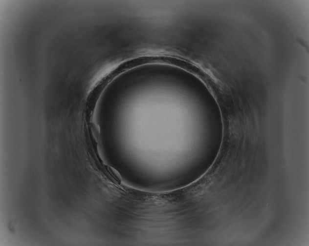 X0000093111311200709261243
