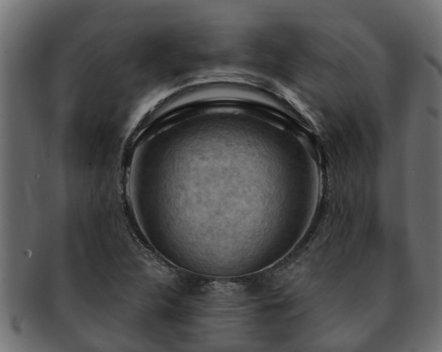 X0000093111312200709261243