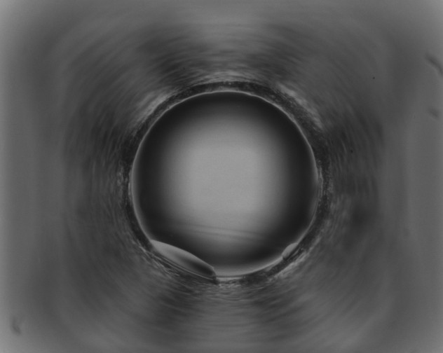 X0000093111313200709261243