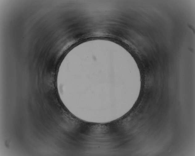 X0000093111314200709261243