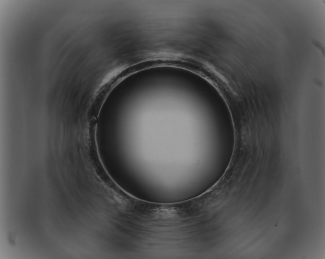 X0000093111315200709261243