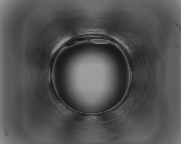 X0000093111317200709261243