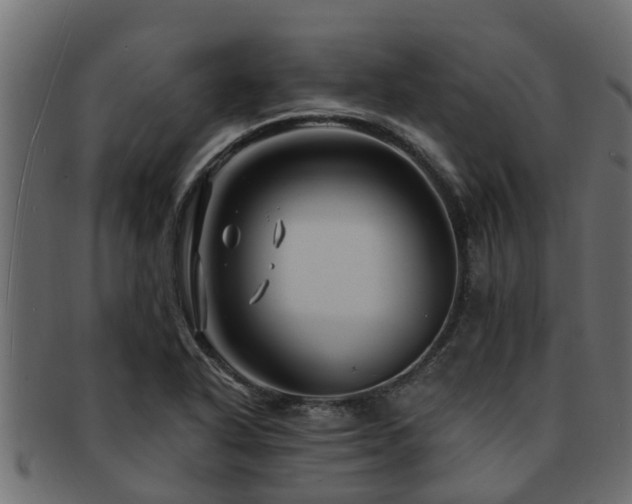 X0000093111318200709261243