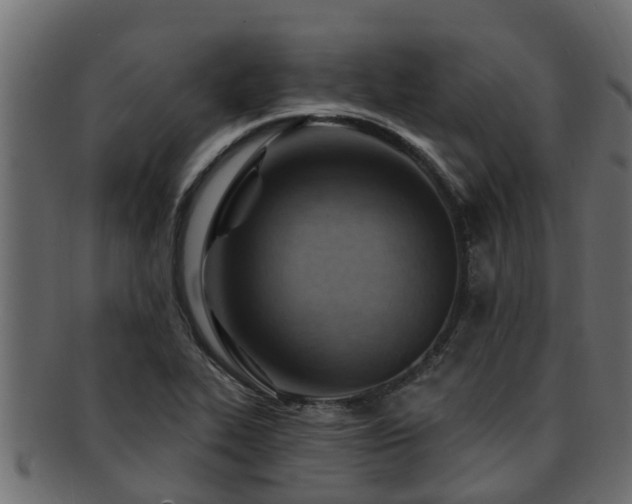 X0000093111319200709261243