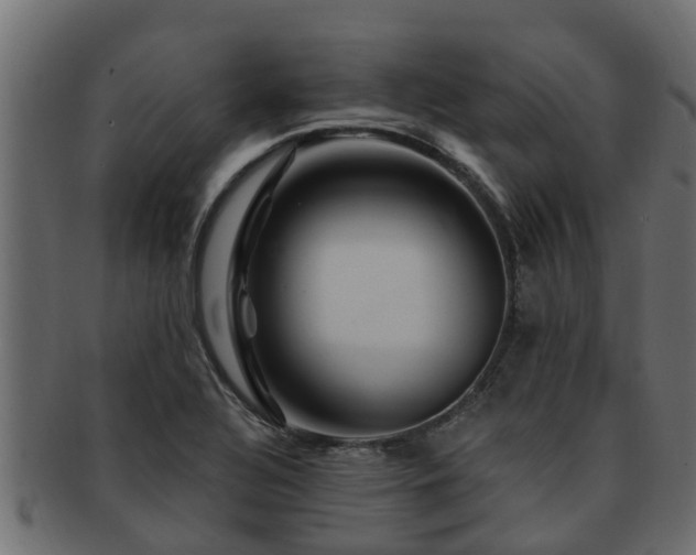 X0000093111320200709261243