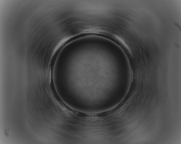 X0000093111323200709261243