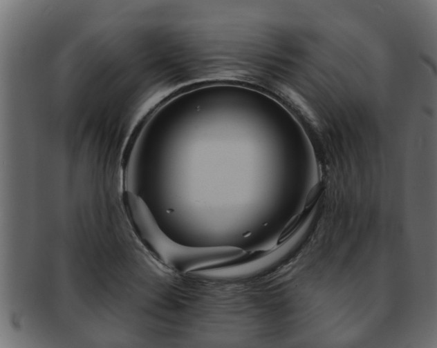 X0000093111324200709261243