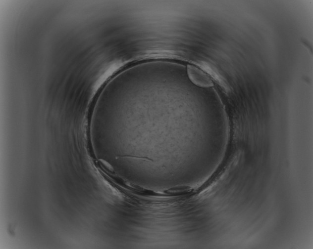 X0000093111325200709261243