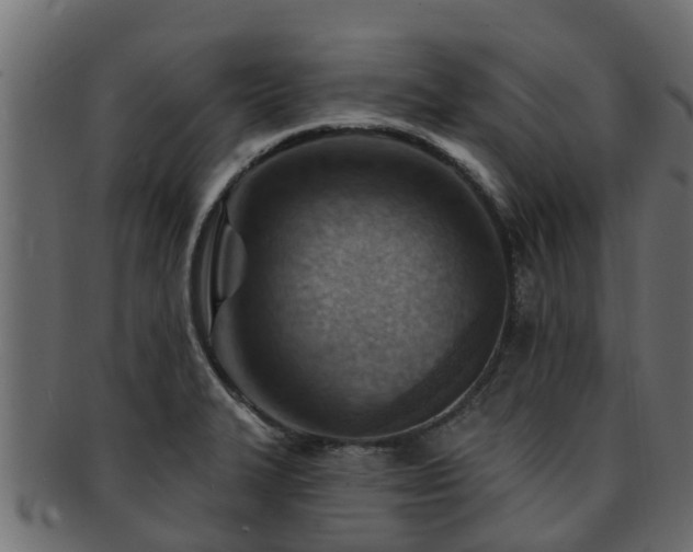 X0000093111327200709261243