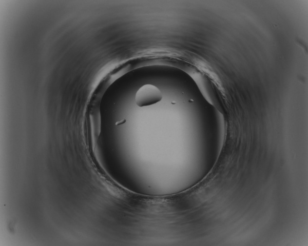 X0000093111328200709261243