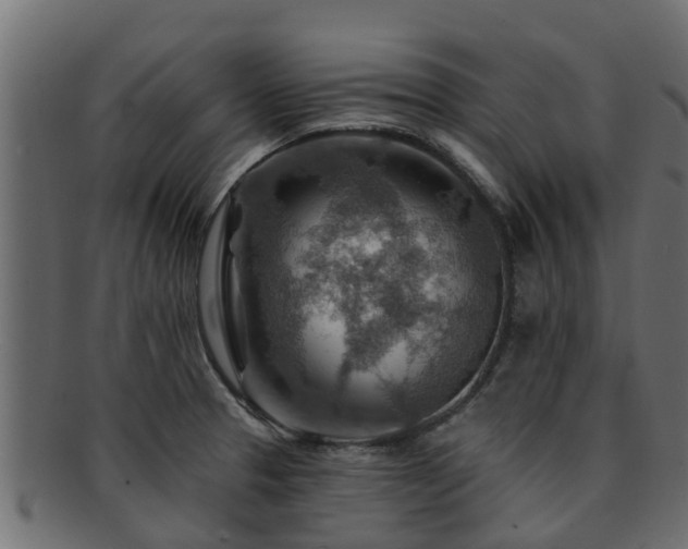 X0000093111329200709261243
