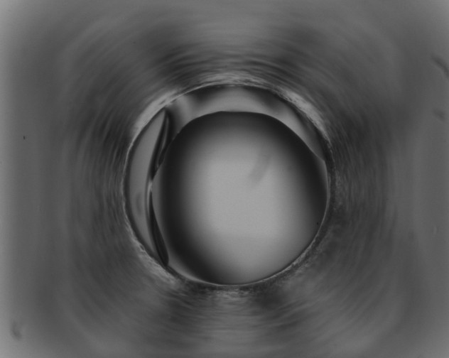 X0000093111330200709261243