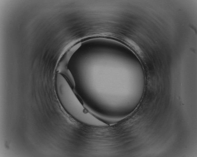 X0000093111332200709261243