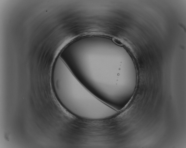 X0000093111333200709261243