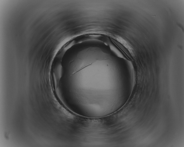 X0000093111334200709261243