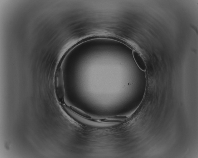 X0000093111335200709261243