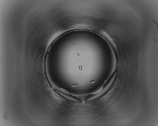 X0000093111336200709261243