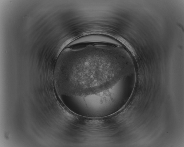 X0000093111337200709261243