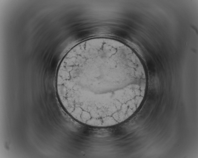 X0000093111338200709261243