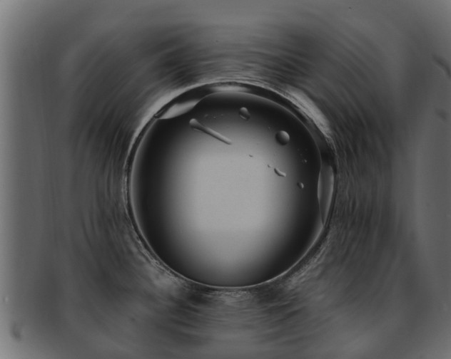 X0000093111340200709261243