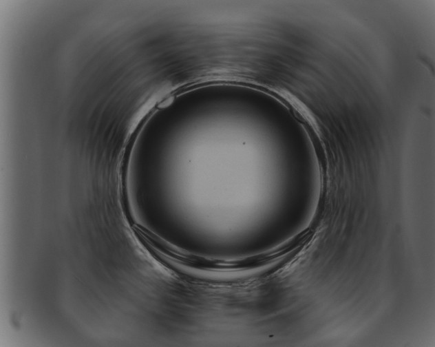 X0000093111341200709261243