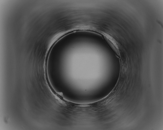 X0000093111343200709261243