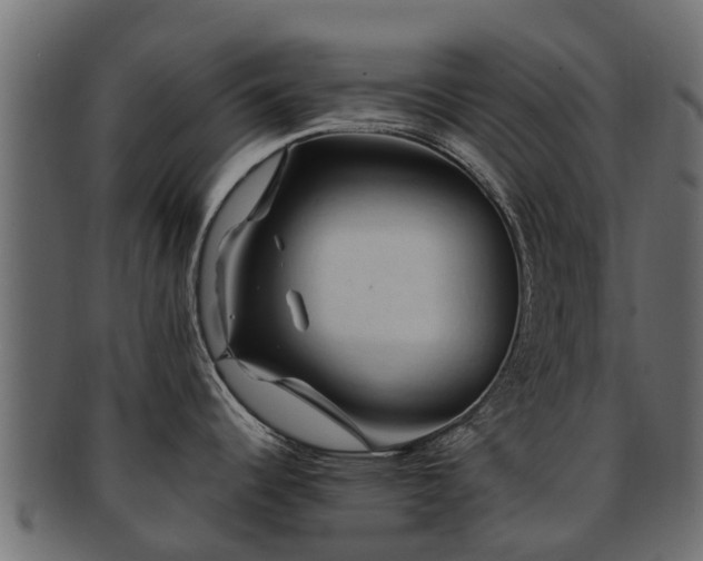 X0000093111344200709261243