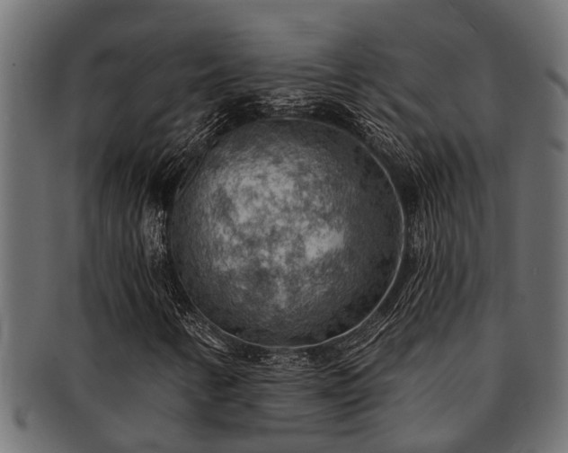 X0000093111346200709261242
