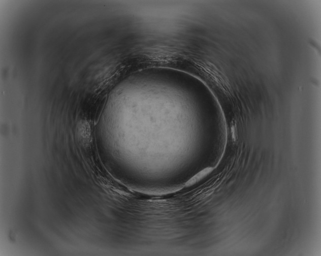 X0000093111347200709261242