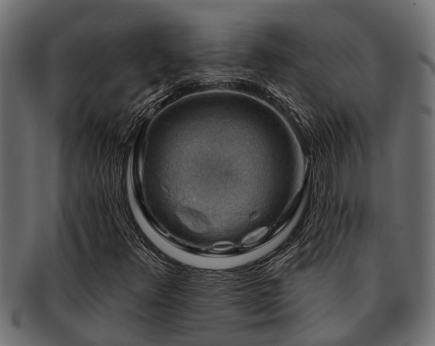 X0000093111348200709261242